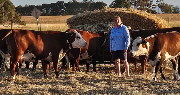 Jo, a farmer, stands in a dry paddock surrounded by brown-and-white cattle near a large hay bale feeder, with open fields and trees in the background.