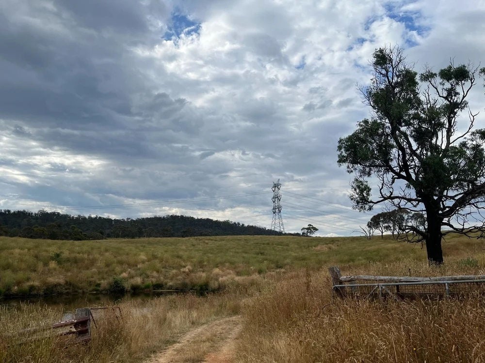 A rural landscape featuring a dirt path through tall grass, with a large tree and old wooden fence on the right. Rolling hills and a tall communication tower appear in the background under a mostly cloudy sky with some blue patches.