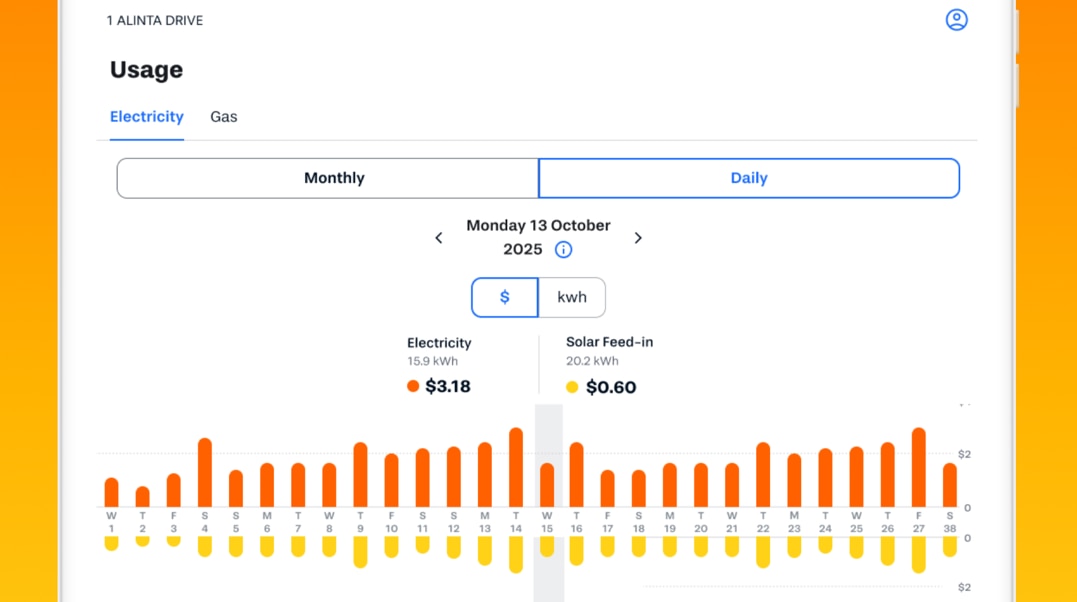 Screenshot example of the Alinta Energy app usage screen
