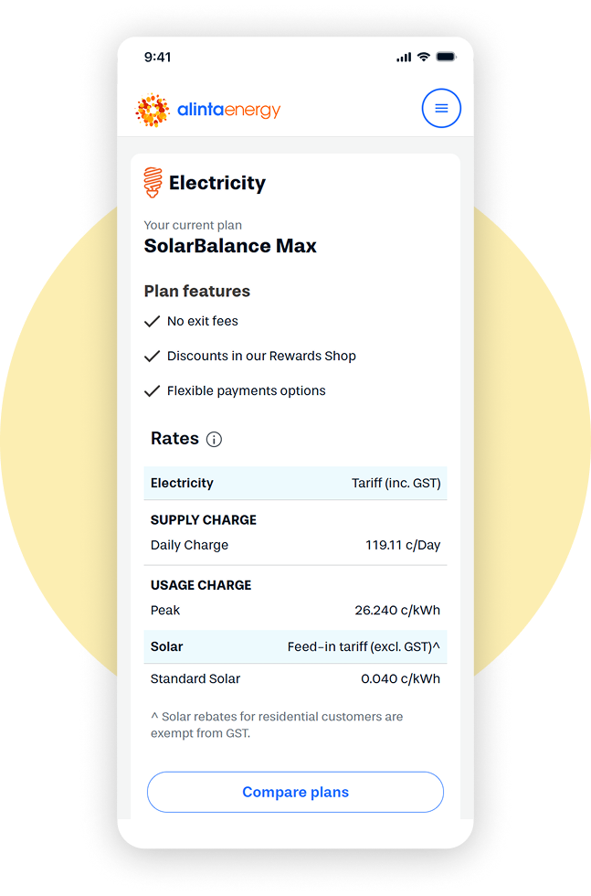 Screen shot of Alinta Energy app showing the hourly rate usage of electricity with solar feed-in