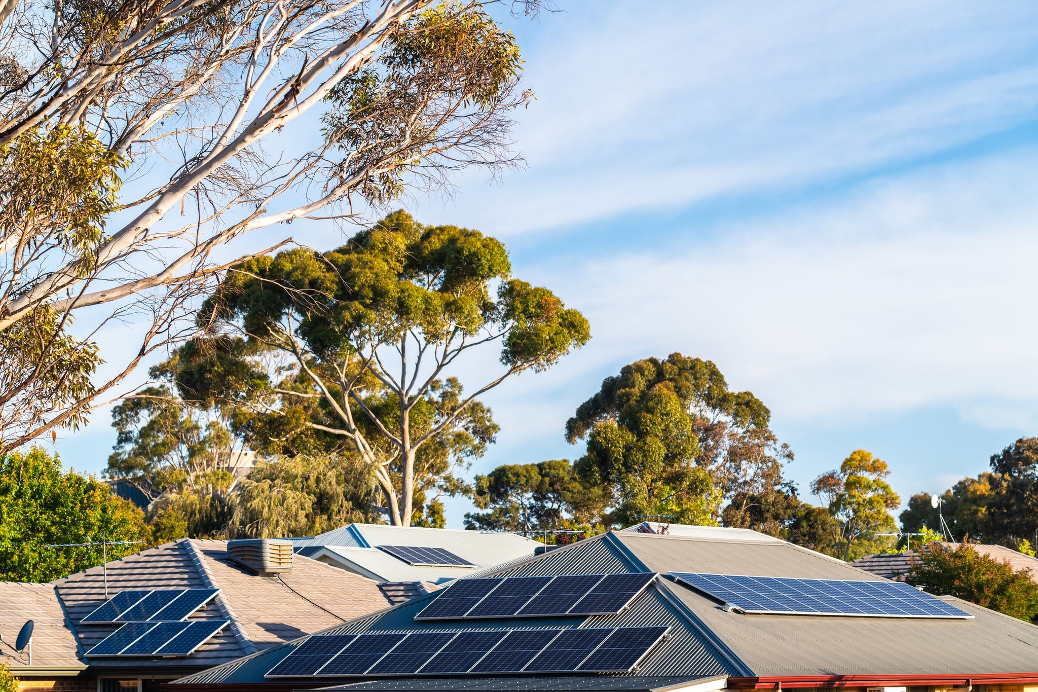 Solar panels on house roofs with trees behind