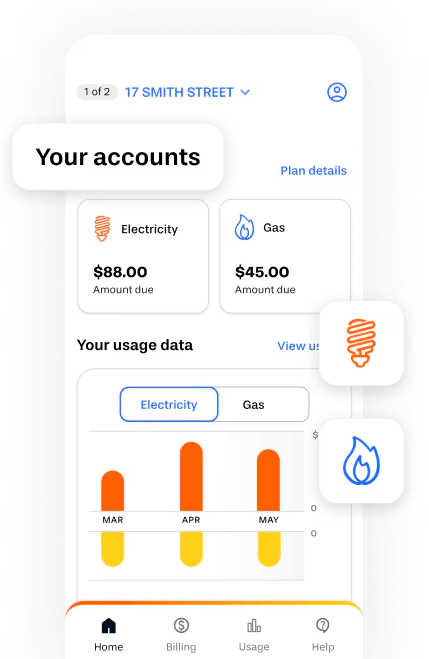 Graphic representation of a screenshot from the Alinta Energy app showing usage charts