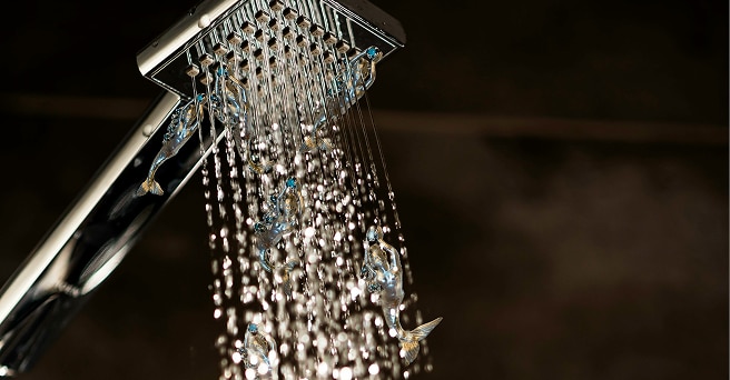 A chrome shower head that is spraying water