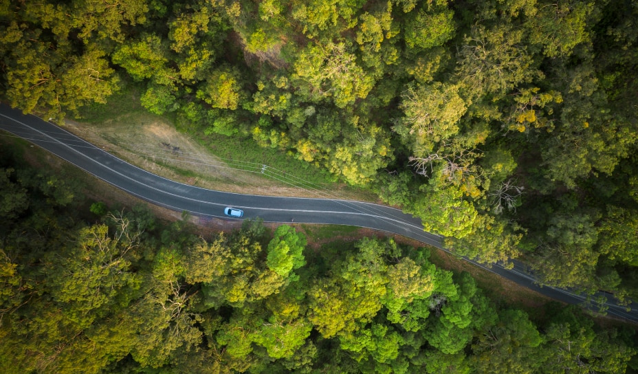 Car on a winding road from above surrounded by many green tree canopies