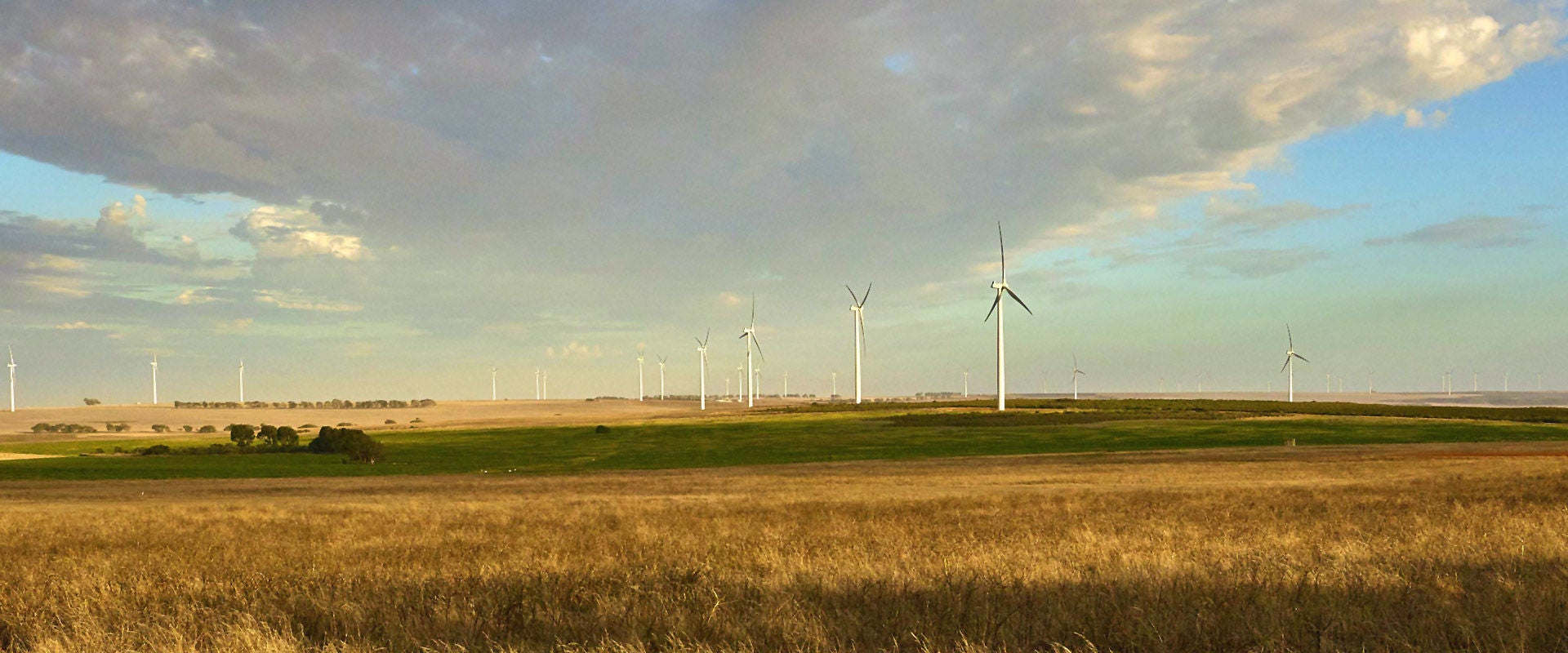 Wind farm