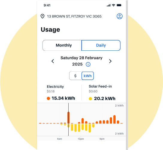 Screen shot of Alinta Energy app showing the hourly rate usage of electricity with solar feed-in