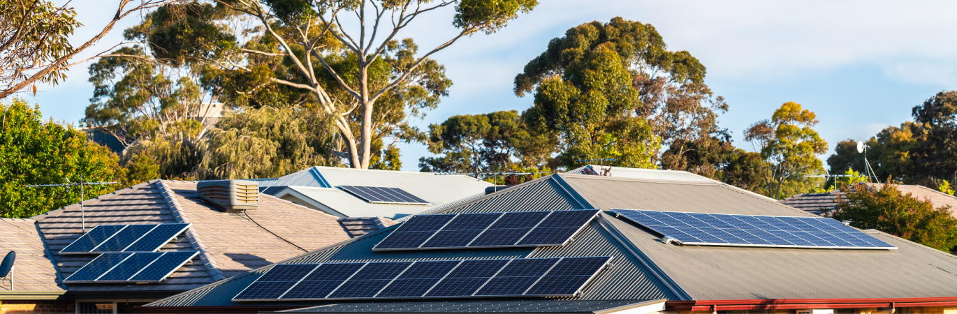 Close up of many solar panels on house roofs with trees in the background