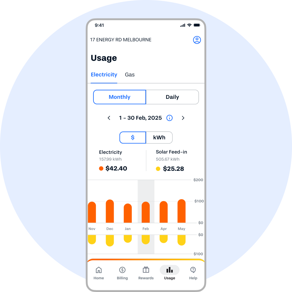 A graphical representation of the Alinta Energy app showing customer energy usage