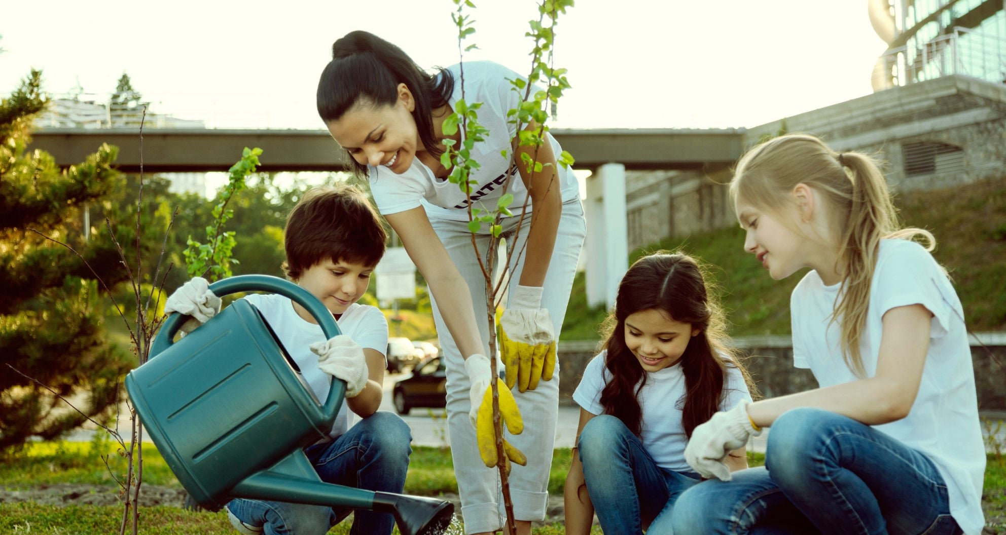 Community watering plants