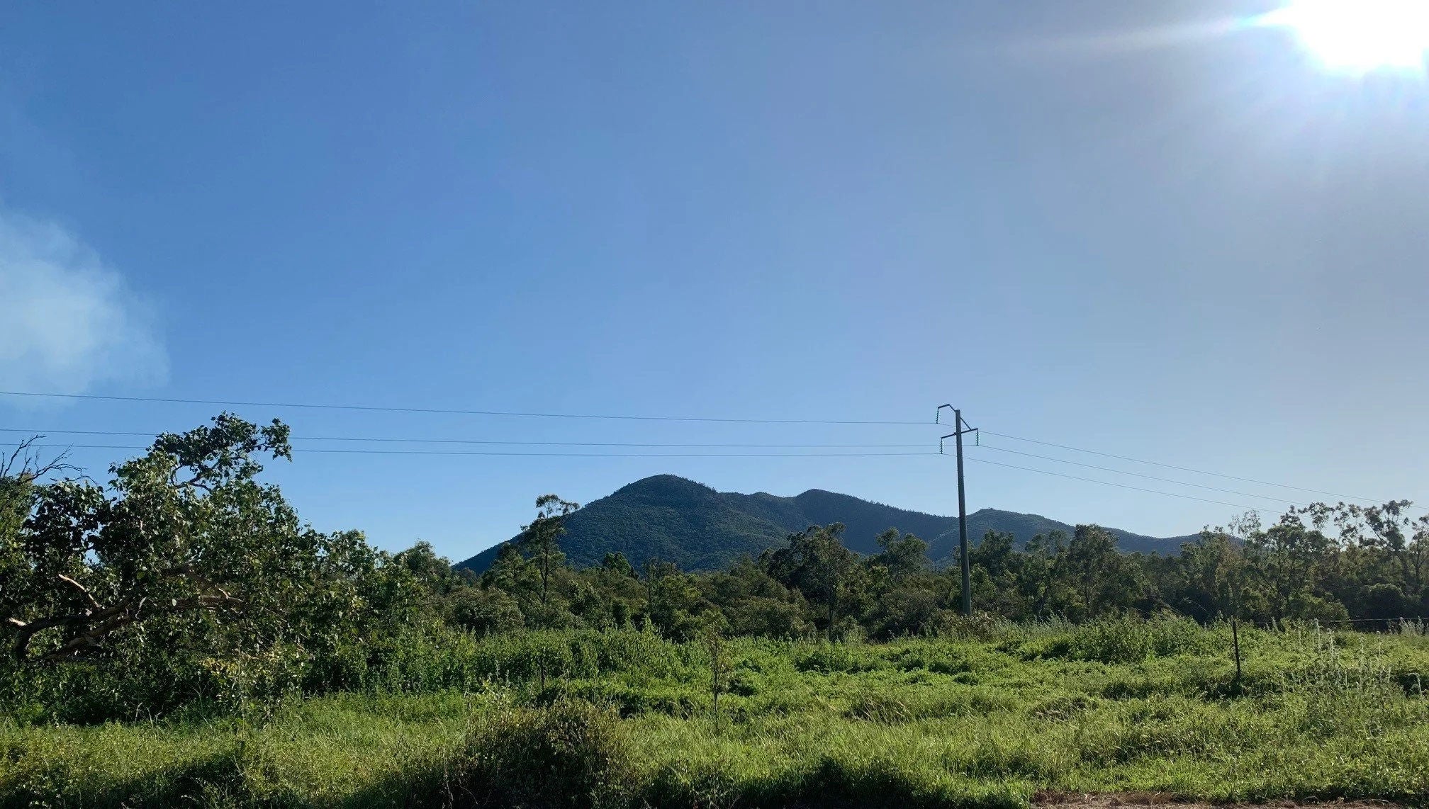 A green landscape.