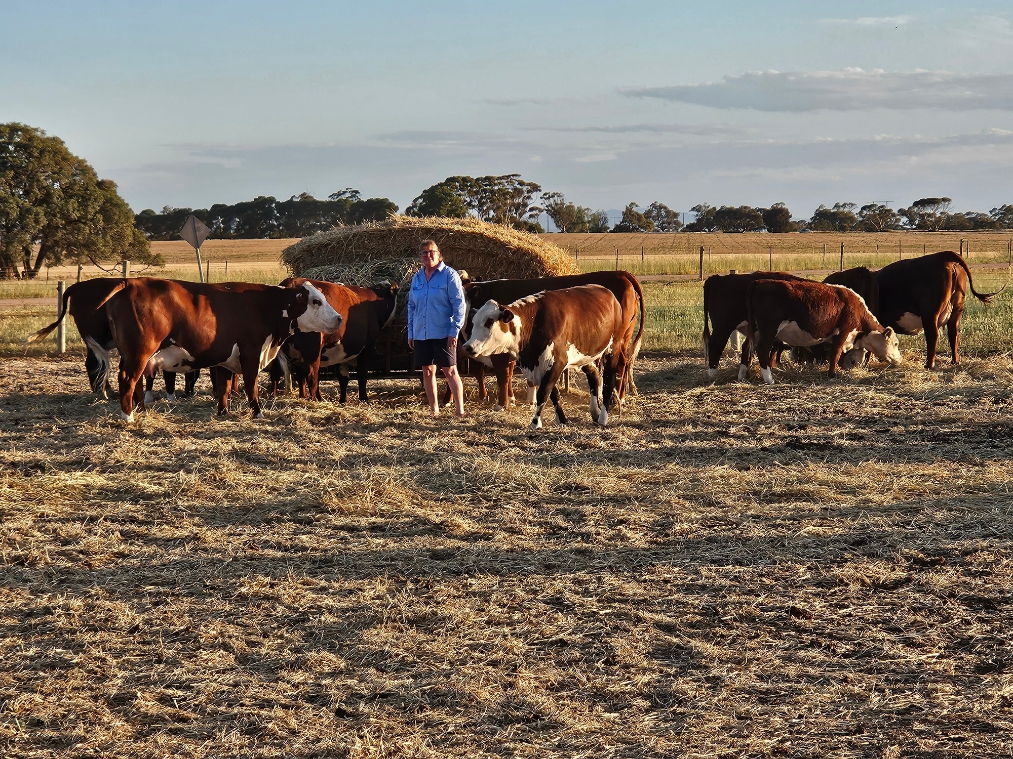 Jo's story: When farming meets energy