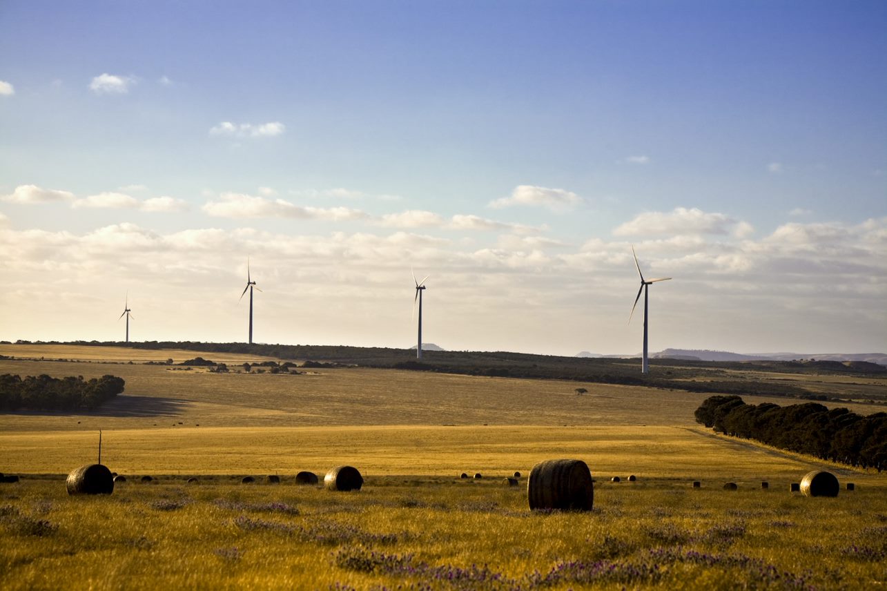 A long distance photo of Walkaway wind farm turbines spread across a field.